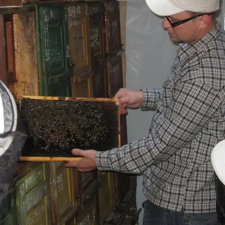 팜스테이 Tourist Farm Salamun 바노브치