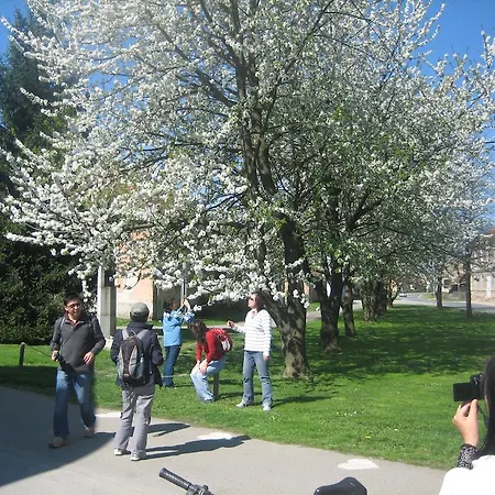 Tourist Farm Salamun