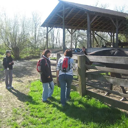 팜스테이 Tourist Farm Salamun