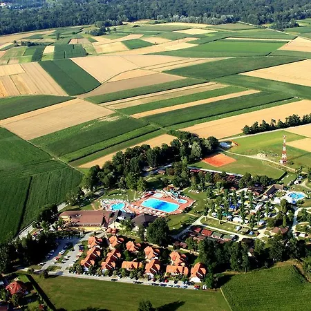 Tourist Farm Salamun Farm stay