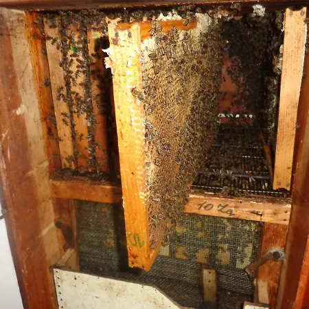 Tourist Farm Salamun