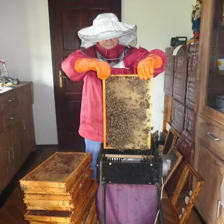 Tourist Farm Salamun 팜스테이 *