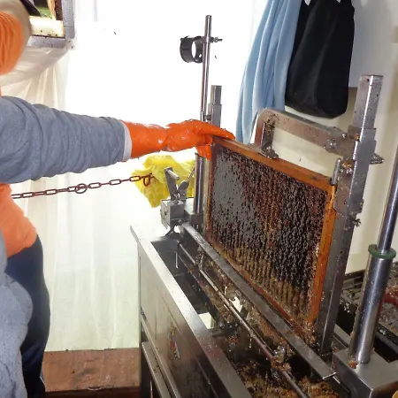 Tourist Farm Salamun 바노브치