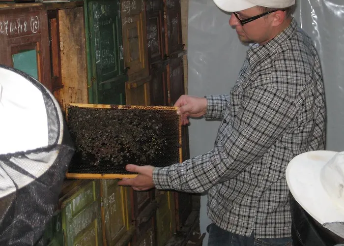 בית חווה Tourist Farm Salamun בנובצי