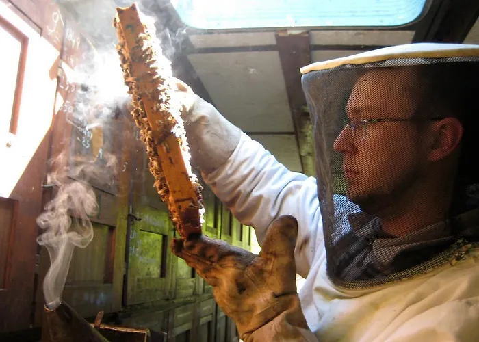 Tourist Farm Salamun