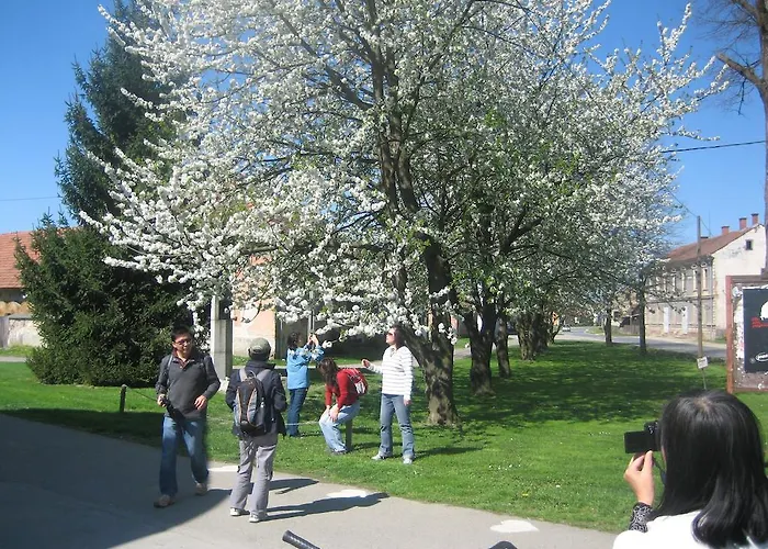 Tourist Farm Salamun