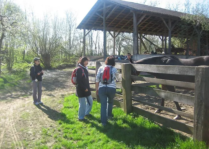 Farm stay Tourist Farm Salamun