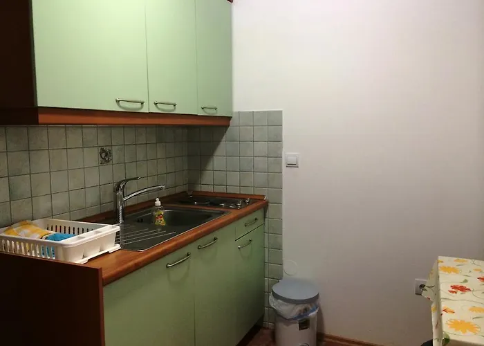 Tourist Farm Salamun בנובצי