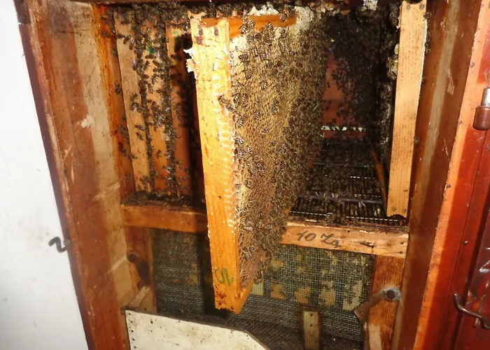 Tourist Farm Salamun