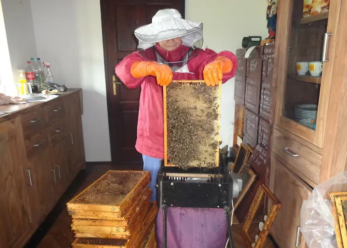 Tourist Farm Salamun Farm stay *