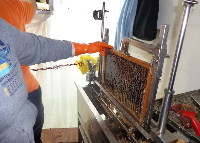 Tourist Farm Salamun Banovci